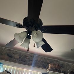 Ceiling Fan