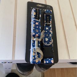Dog Leash And Collar