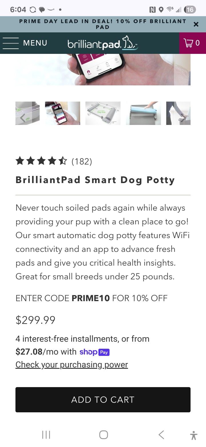 Doggie Pads But Better