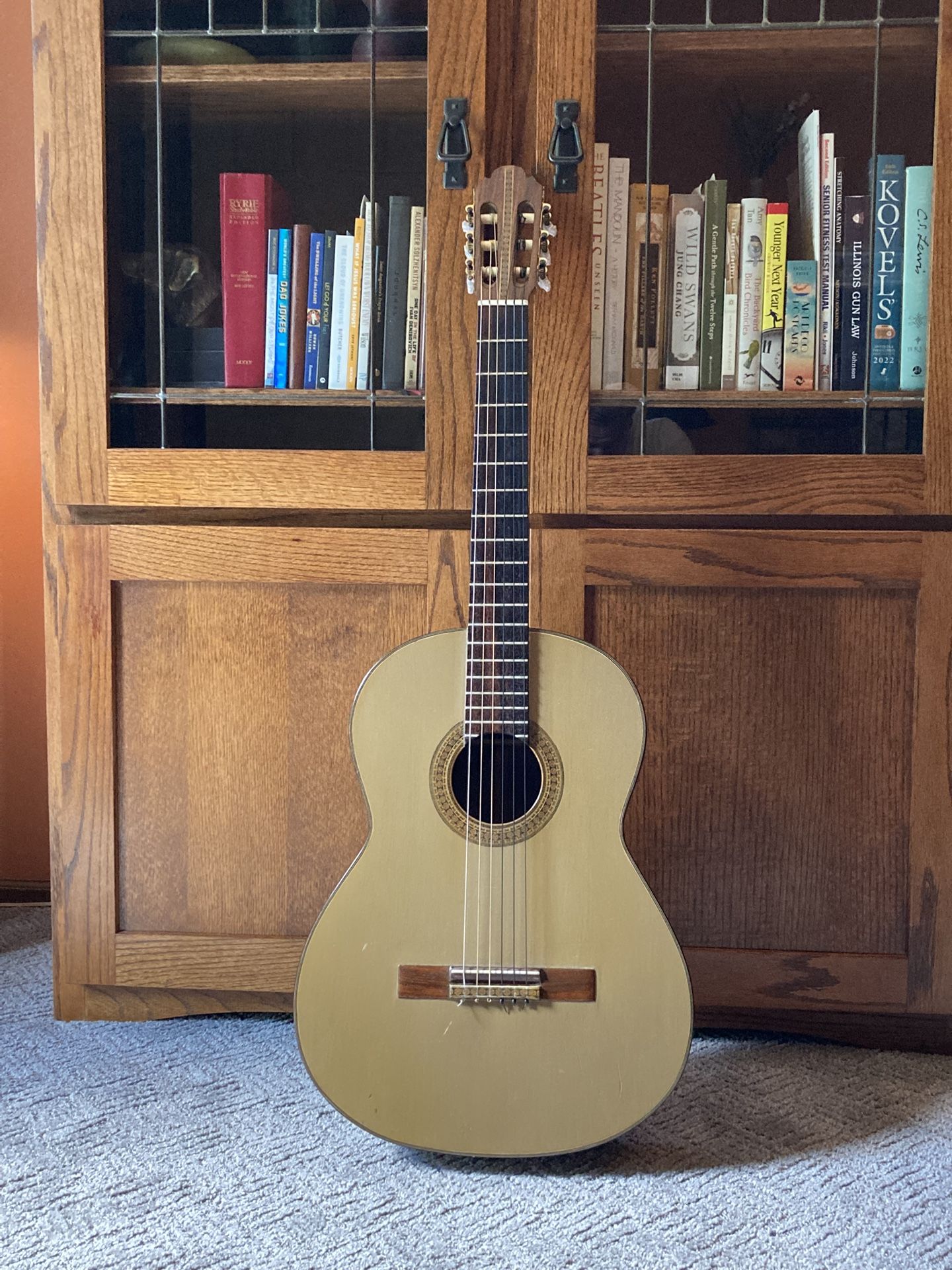 Classical Guitar with Built-in Pic-up.