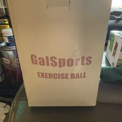 65cm Exercise Ball 