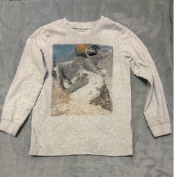 Youth boys 5 snow boarding dinosaur shirt