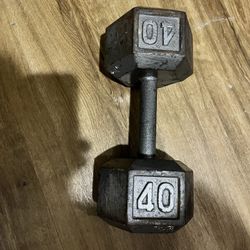 Dumbbell 40 Pound Single 