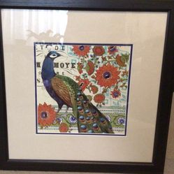 2 Beautiful Peacock prints Beautifully Framed And Matted. Large 23” X 23”. Colors Of Burnt Orange And Sold As A Set. $45 Each. Less Than Frame Cost.  