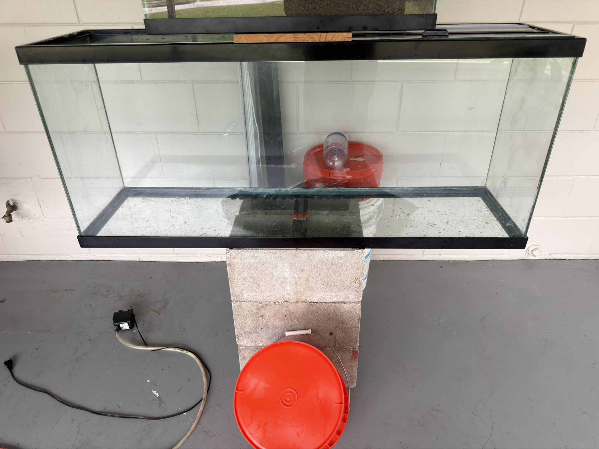 55 Gallon Aquarium