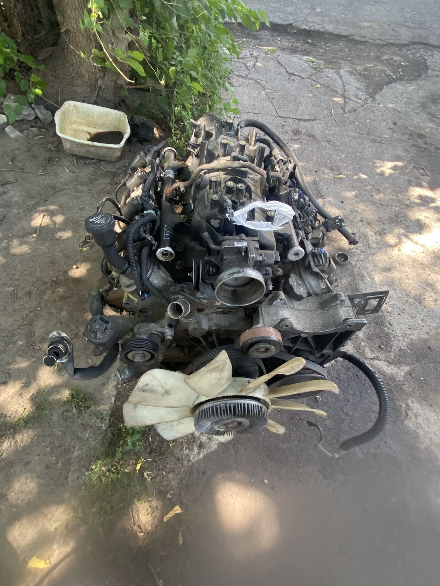 Transmission And Motor