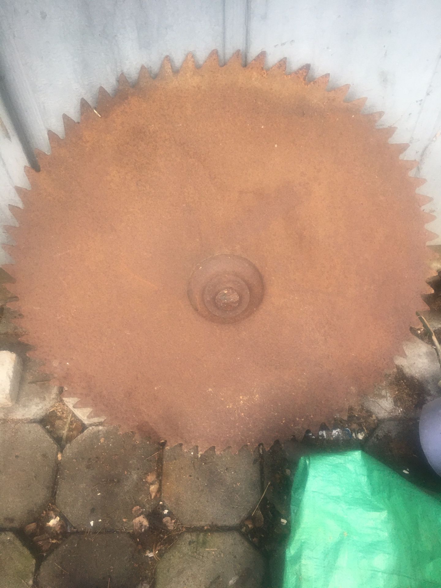 Large Vintage Saw Blade 
