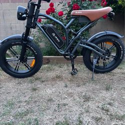 Electric bike