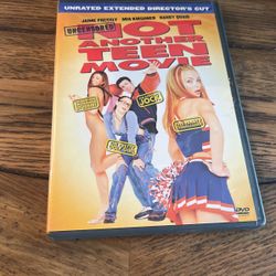 Not Another Teen Movie