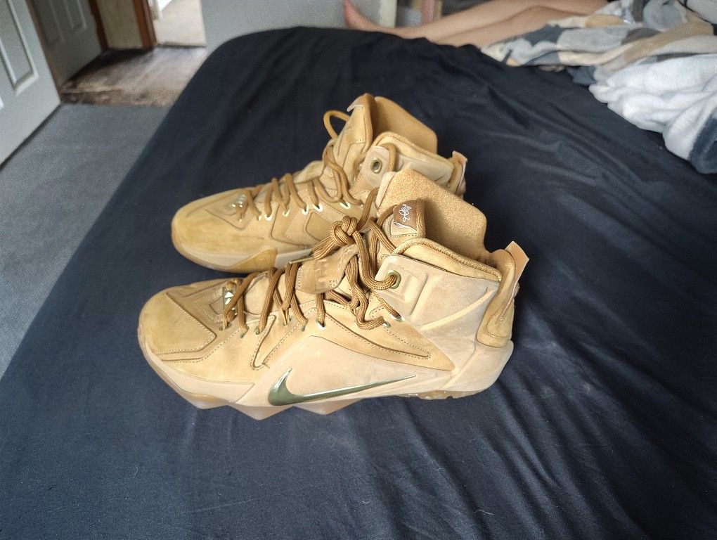 LeBron 12 EXT Inspired By the Air Zoom Generation “Wheat”