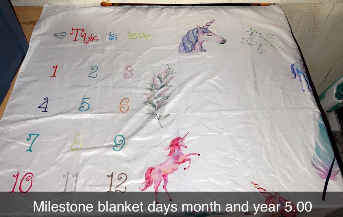 Milestone Blanket