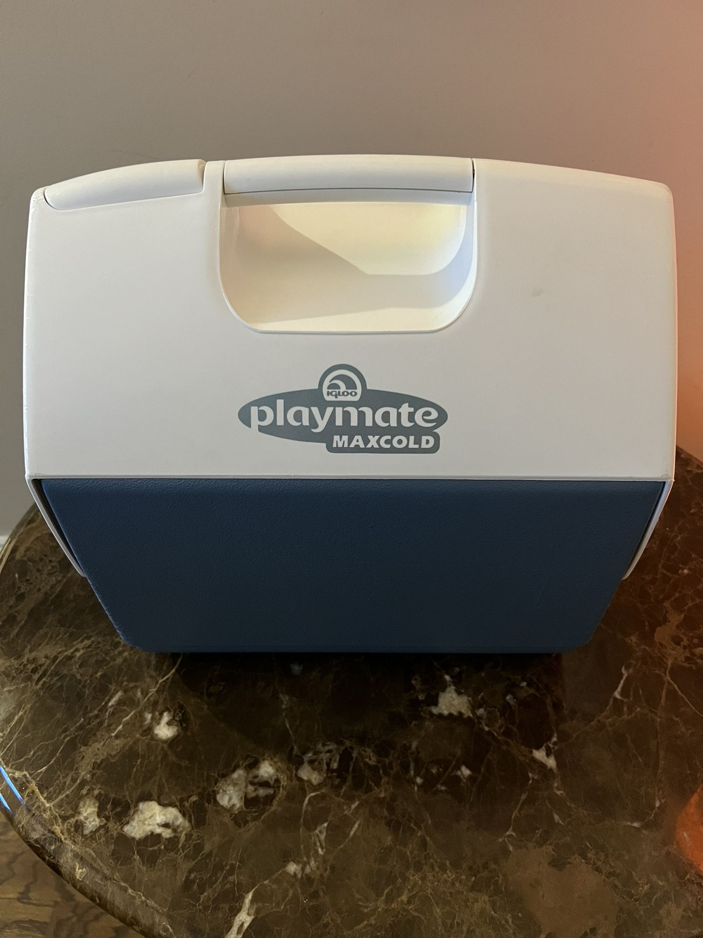 maxcold Cooler Box