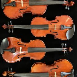 New 4/4 Violin $199 each