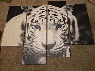 White Tiger Canvas