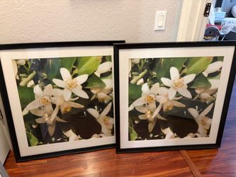 Set of pictures