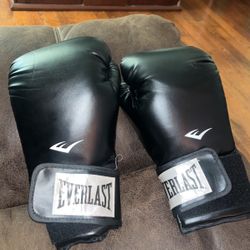 Everlast Boxing Gloves 