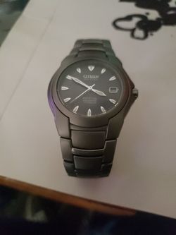 Citizen Eco-Drive Perpetual Titanium