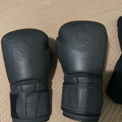 Muay Thai boxing gloves