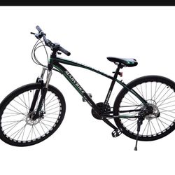MOUNTAIN BIKE 29”