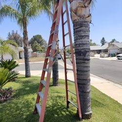 Ladder 10ft Werner 