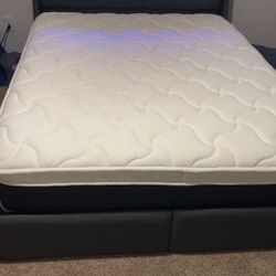 Brand New Queen Size Bed It Lights Up 