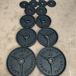 Olympic Weight Plates Set - Total 255 Pounds 