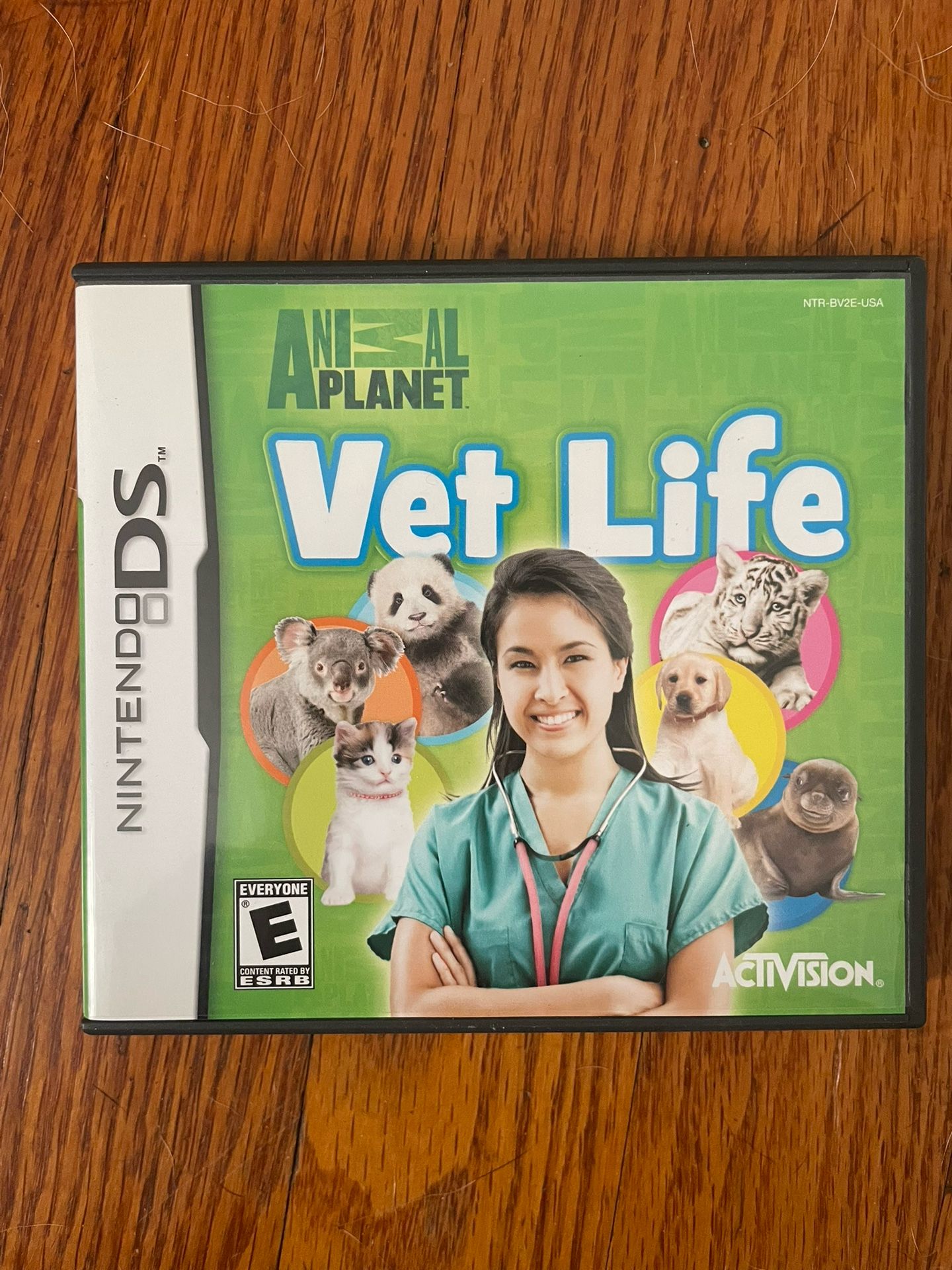 Nintendo DS Game