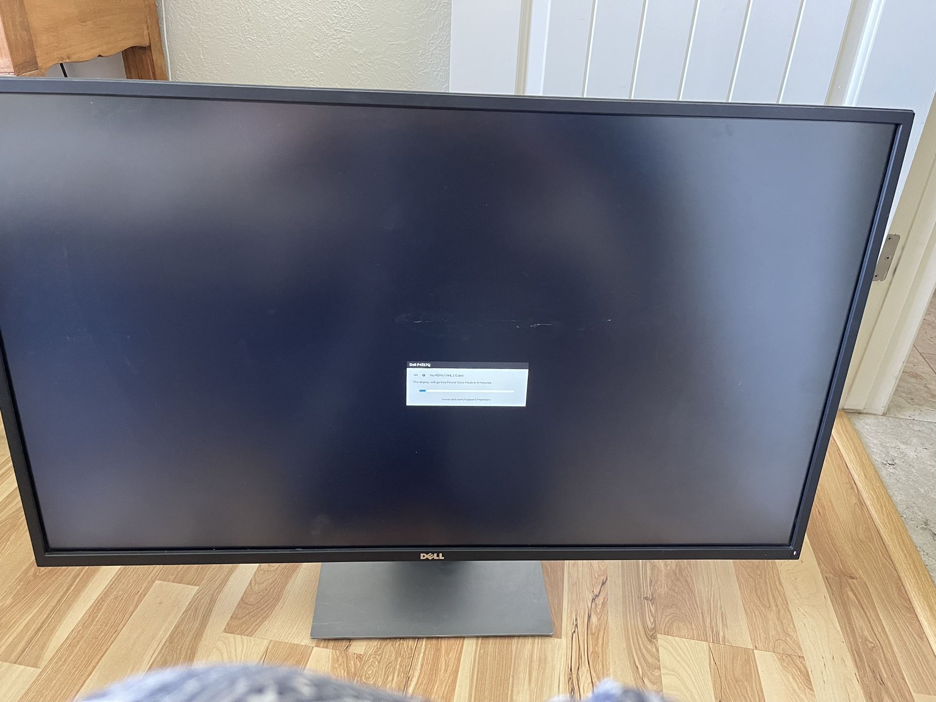 Large Gaming Monitor