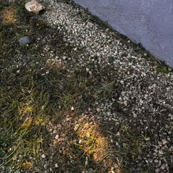 Yard Rocks And River rocks 