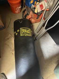Everlast Punching bag