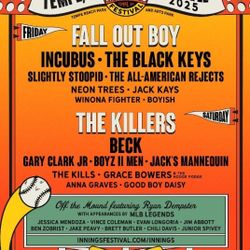 Friday Innings Festival Entry 