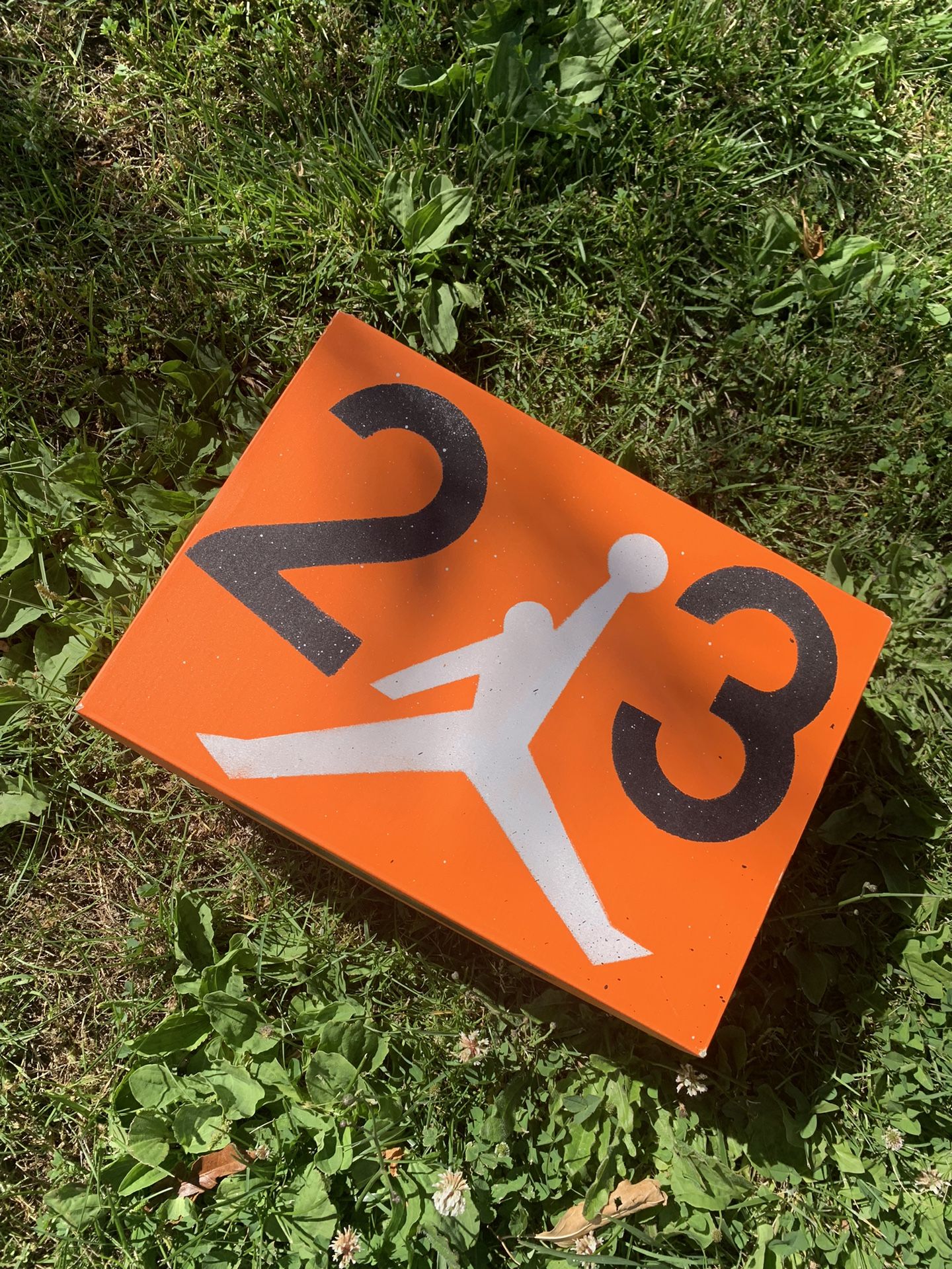 2024 Jordan 3 Nina Chanel Size 12 W/ 10.5 m