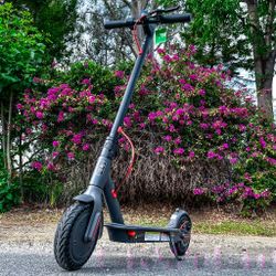 Foldable Electric Scooter