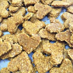 Healthy Homemade Dog Treats