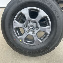Brand New Tires And Rims