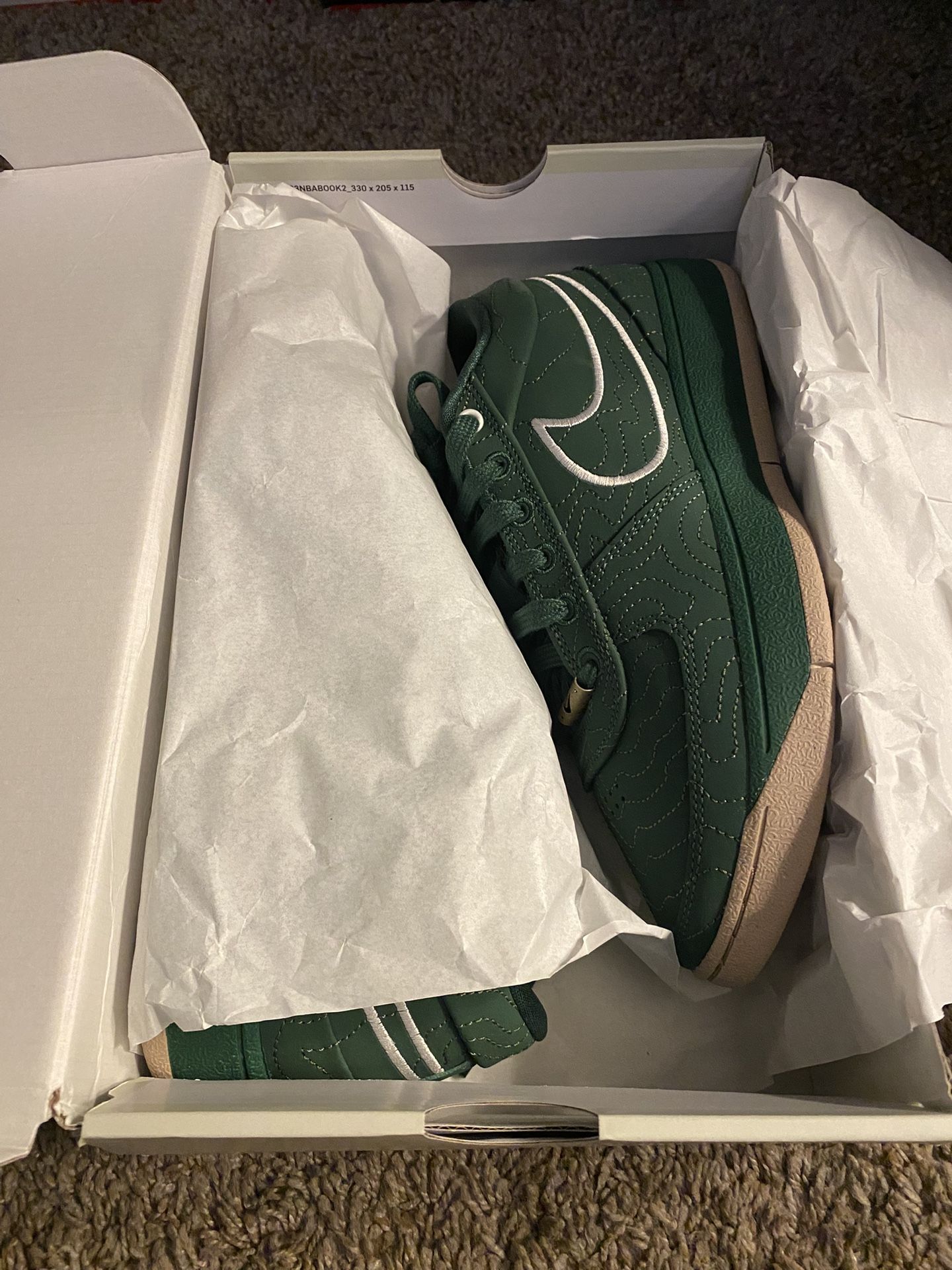 2025 Nike Book 1 “Flagstaff” DS Size 8.5