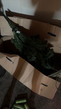 FREE TREE