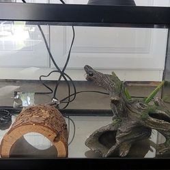 20 Gallon Reptile Terrarium Complete Set