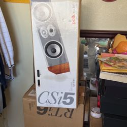 Polk Audio CSI 5