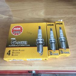 3381 Ngk Platinum Spark Plugs