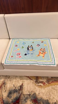 Bluey pillow case for kids
