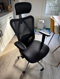 Ergonomic Office Chair