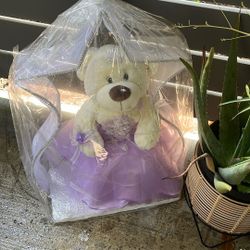 15 Teddy Head
