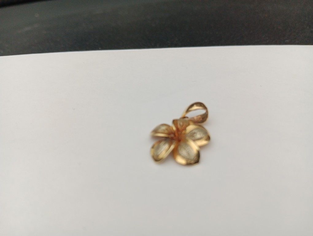 14k Plumeria Charm