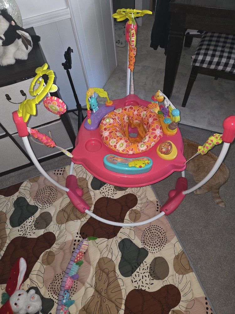 Fisher Price Pink Petals Jumparoo