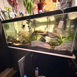 Large Glass Fish Tank Aquarium with Stand