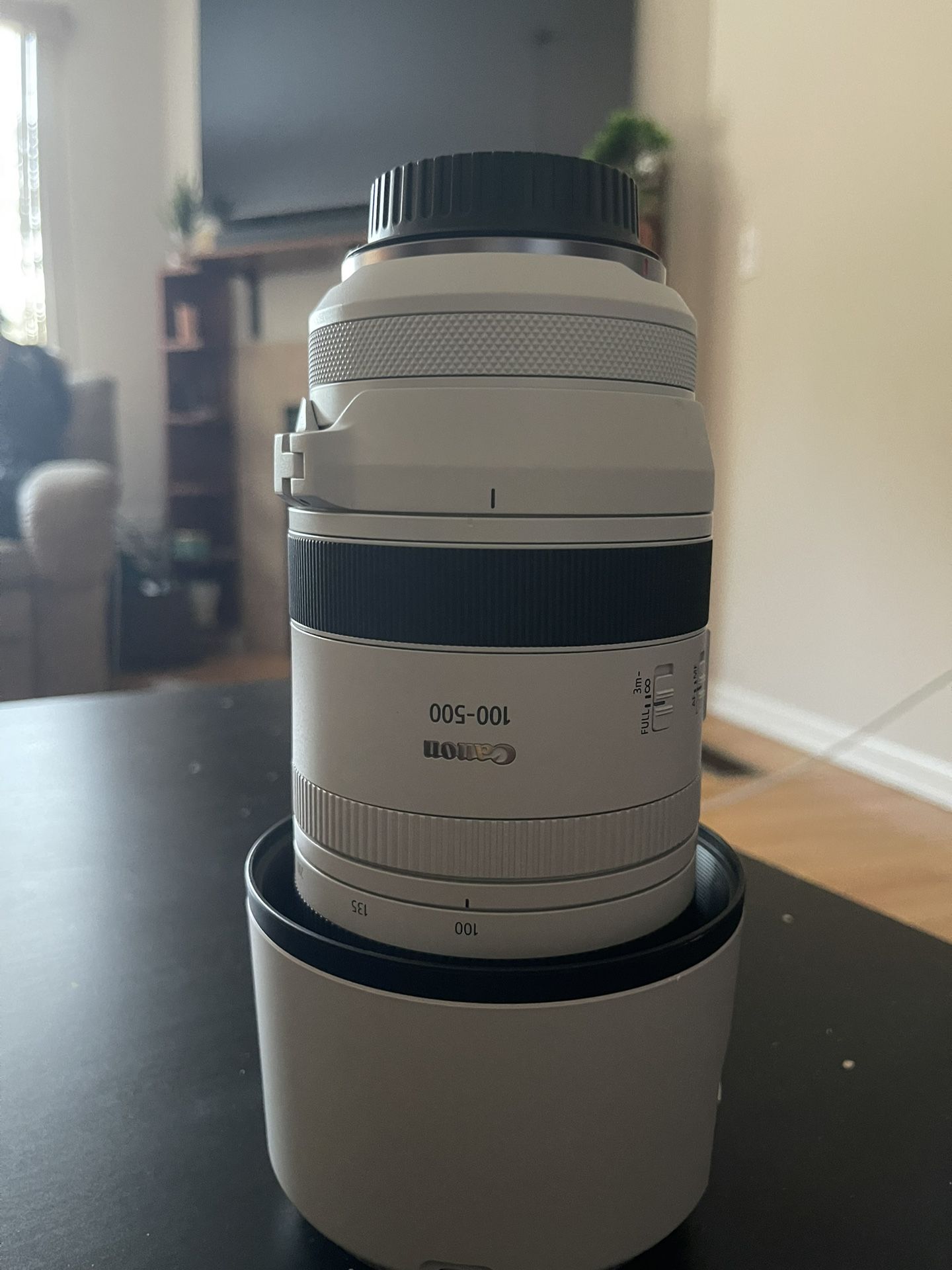 Canon Rf 100-500 Lens