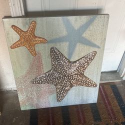 Cuadro  De Estrellas  de Mar 
