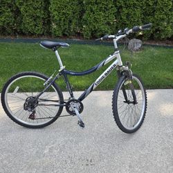 Eddie Bauer Bike