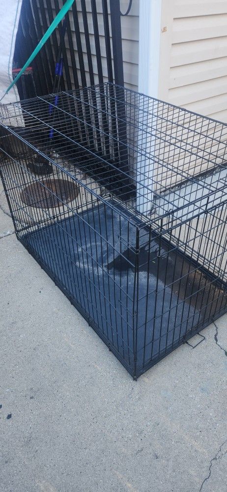 Dog Cage